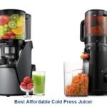 best affordable cold press juicer
