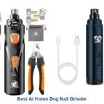 best at home dog nail grinder