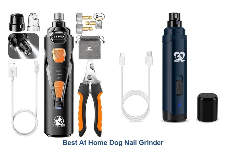 best at home dog nail grinder