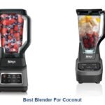 best blender for coconut
