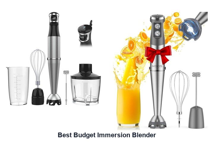 best budget immersion blender
