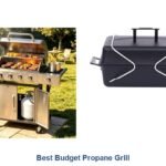 best budget propane grill