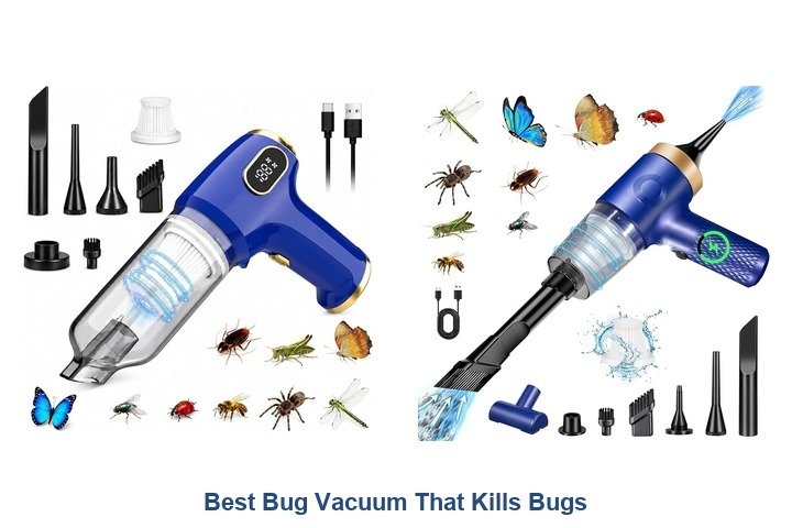 best bug vacuum that kills bugs
