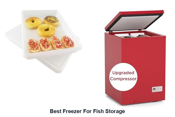 best freezer for fish storage