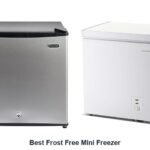 best frost free mini freezer