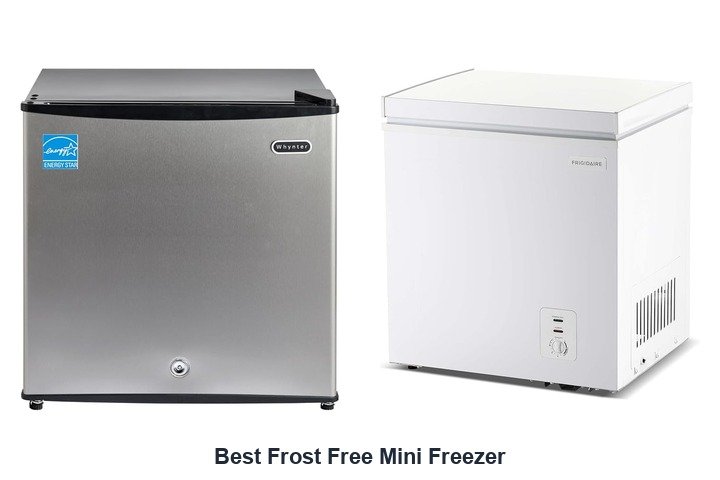 best frost free mini freezer