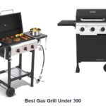 best gas grill under 300