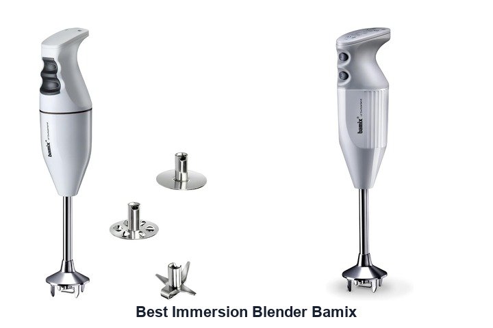 best immersion blender bamix
