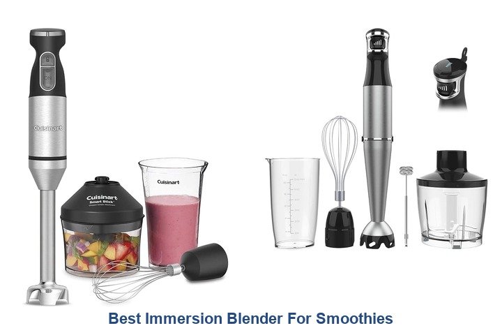 best immersion blender for smoothies