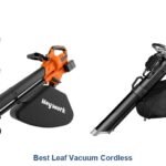 best leaf vacuum cordless