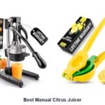best manual citrus juicer