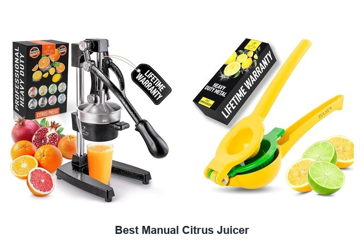 best manual citrus juicer