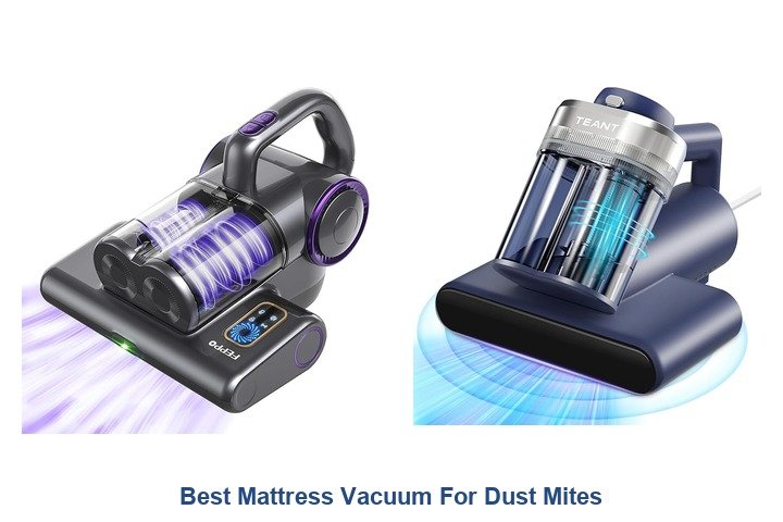 best mattress vacuum for dust mites