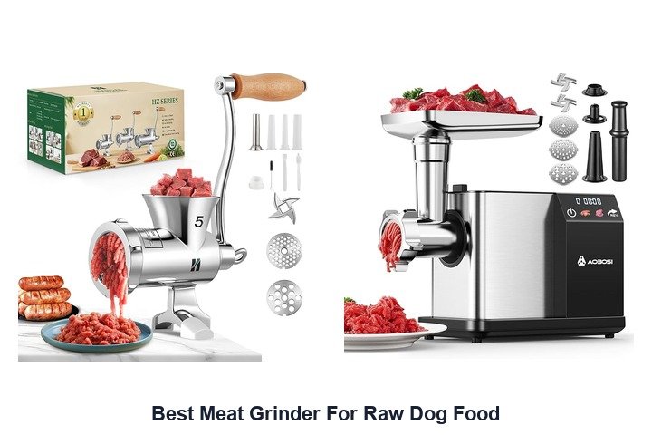 best meat grinder for raw dog food