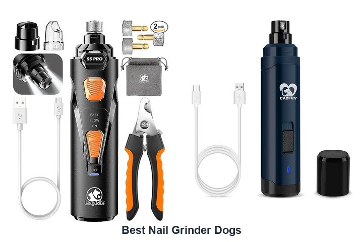 best nail grinder dogs