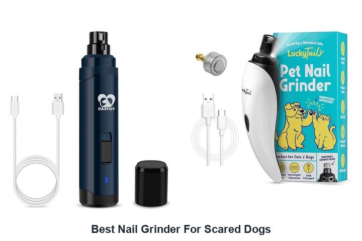best nail grinder for scared dogs