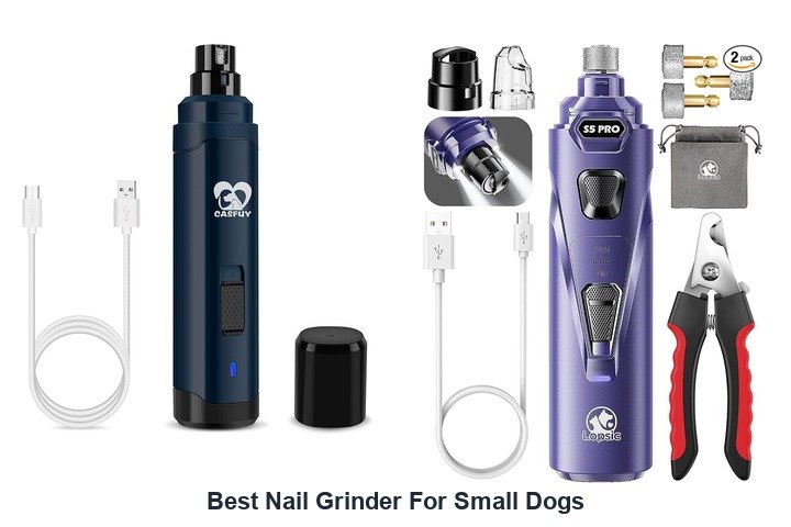 best nail grinder for small dogs