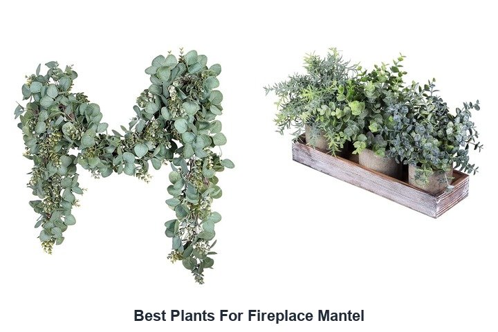 best plants for fireplace mantel