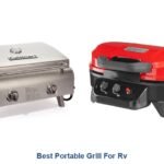 best portable grill for rv