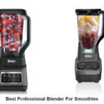 best professional blender for smoothies