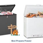 best propane freezer