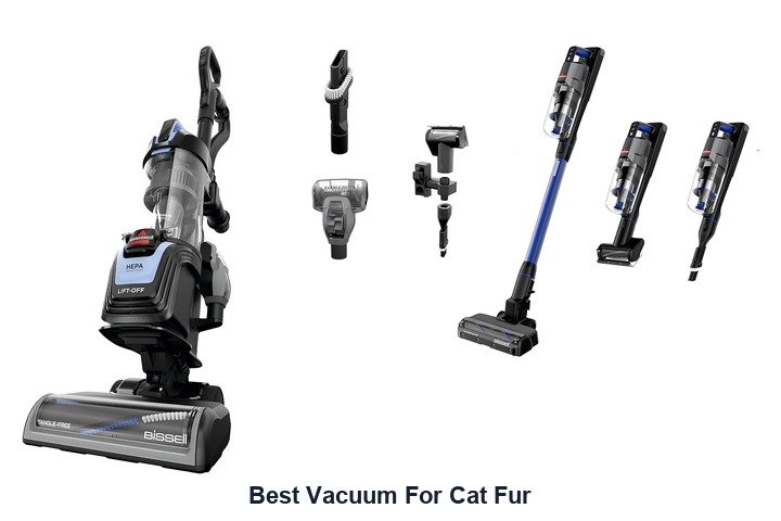 best vacuum for cat fur