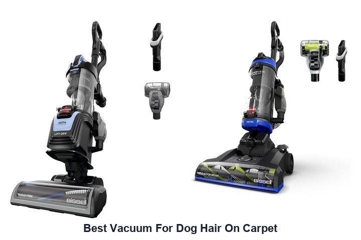 best vacuum for dog hair on carpet