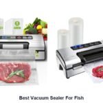 best vacuum sealer for fish