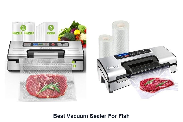 best vacuum sealer for fish