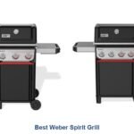 best weber spirit grill