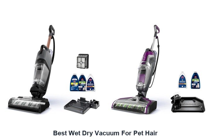 best wet dry vacuum for pet hair