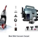 best wet vacuum carpet