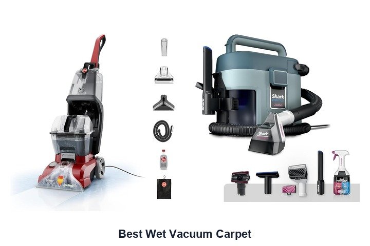 best wet vacuum carpet