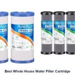 best whole house water filter cartridge