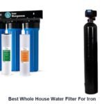 best whole house water filter for iron