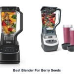 best blender for berry seeds