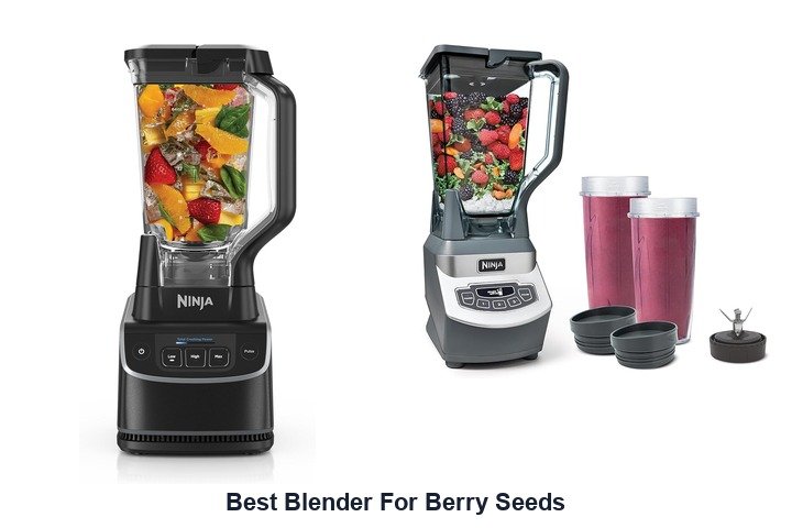 best blender for berry seeds