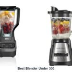 best blender under 300