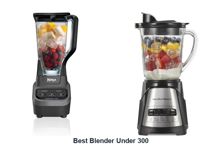 best blender under 300