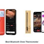 best bluetooth oven thermometer
