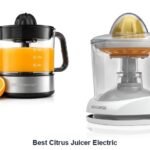 best citrus juicer electric