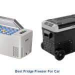 best fridge freezer for car