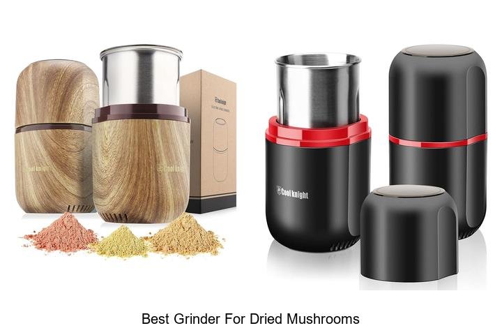 Best Grinder for Dried Mushrooms: Top Picks You Need Now!