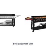 best large gas grill