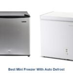 best mini freezer with auto defrost