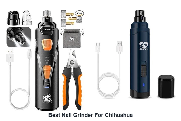 best nail grinder for chihuahua