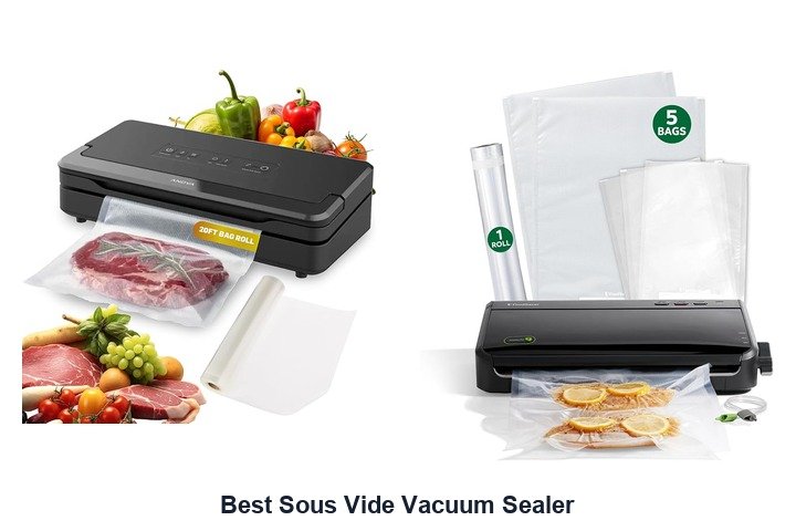 best sous vide vacuum sealer