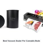 best vacuum sealer for cannabis buds