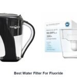 best water filter for fluoride