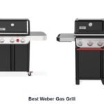 best weber gas grill